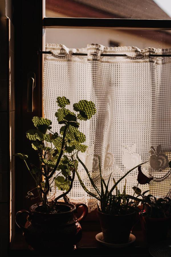 Agroturistica Hanna Farm stay Ocland