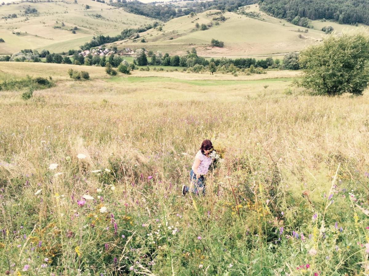 Agroturistica Hanna Farm stay