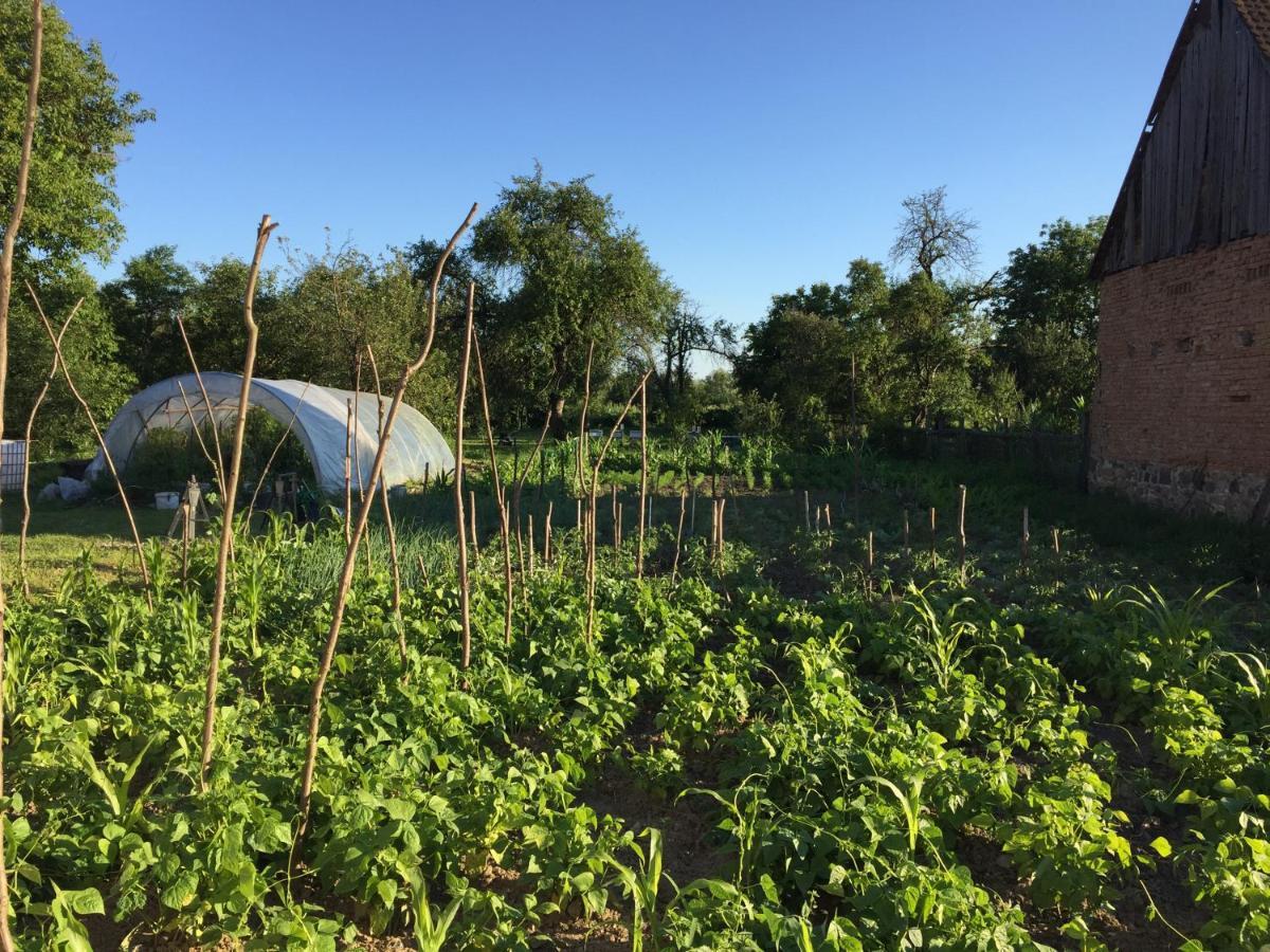 Agroturistica Hanna